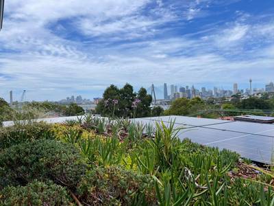 Alexandria — green roof with a view of the city