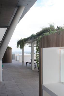 Coca-Cola building, North Sydney — level nine terrace
