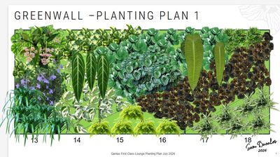 A snapshot of the planting plan for the new Sydney International Airport Qantas First Class Lounge, to be installed in October this year.