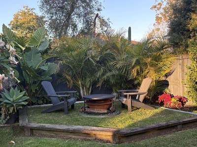 A fire pit set into the lawn, screened by palms and bromeliads