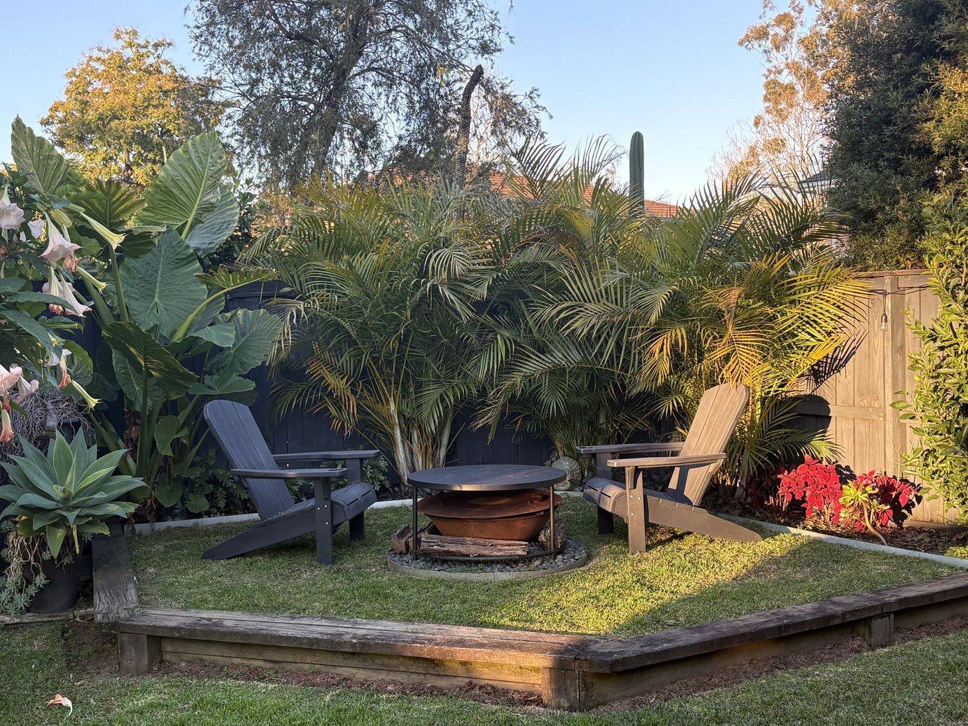 A Jamberoo garden by Sam Bacales &mdash; a fire pit screened by palms and bromeliads