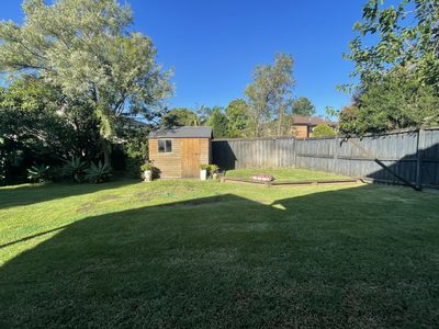 The back garden before work started, with the shed that needed disguising