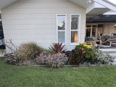 A layered bed of grasses, bromeliads and succulents along the same wall