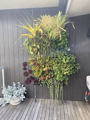 A green wall panel on the rear deck