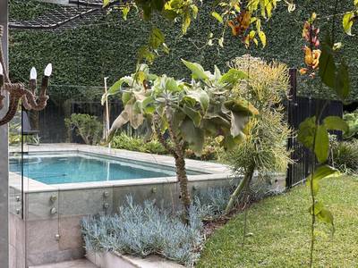 Silver foliage and a sculptural euphorbia at the pool edge