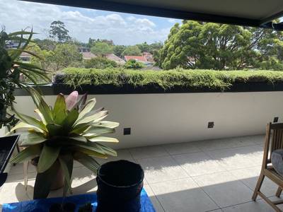 The same balcony with the planter grown in