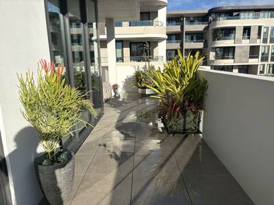 The western balcony, planted for a hotter aspect
