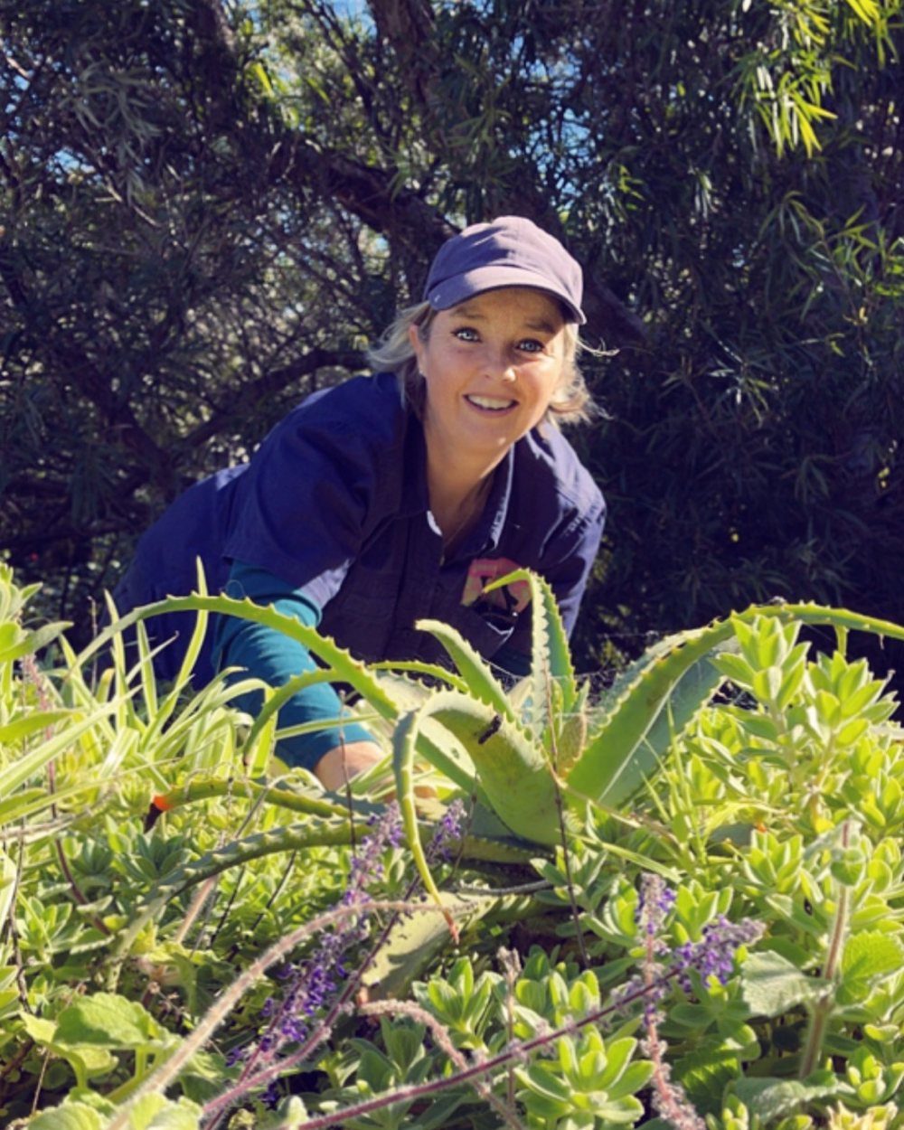 Sam Bacales in a garden, leaning over aloes and flowering ground cover